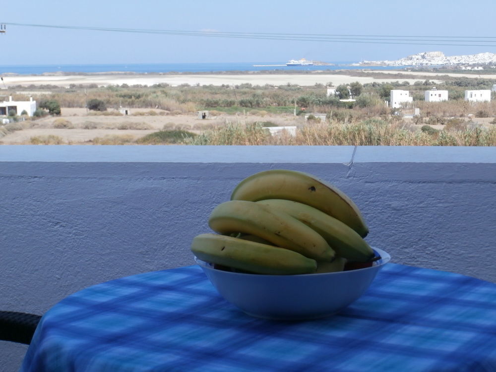 Agnadi Hotel Agia Anna  Екстериор снимка